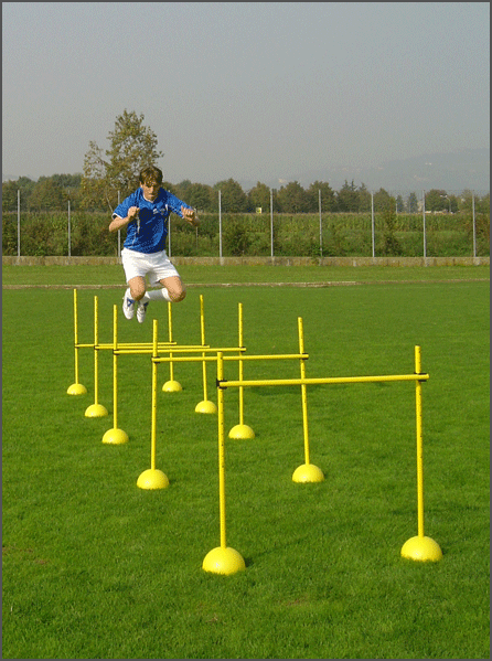 Prilagodljiva prečka za trening 50-100cm