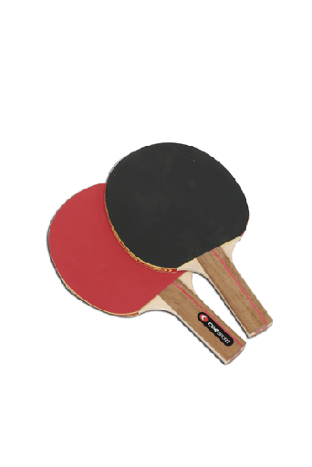 [SS 05234] Reket za stolni tenis